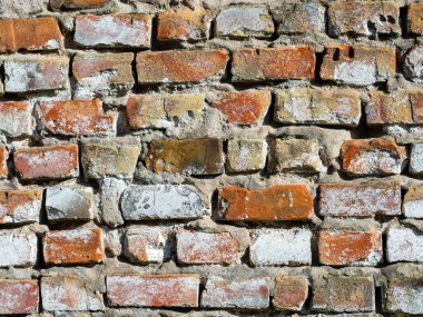 Arka plan olarak eski tuğla duvar zaman tarafından yok edildi