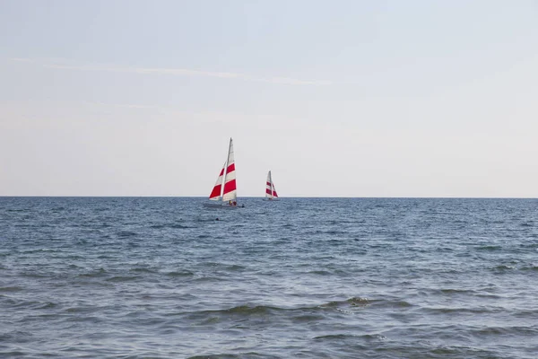 Dwa Jachty Windsurfingowe Horyzoncie — Zdjęcie stockowe