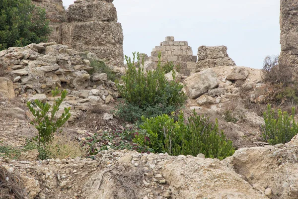 Trawa Kwiaty Kamiennych Ruinach Starożytnego Miasta Side Turcja — Zdjęcie stockowe