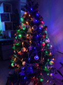 Vánoce Nový rok strom noc scéna