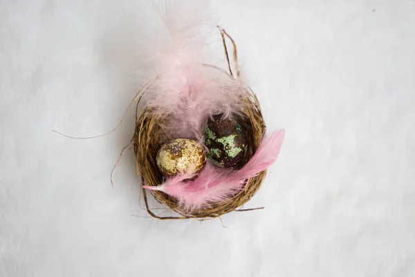 Feliz Pascua Nido Con Huevos — Foto de Stock