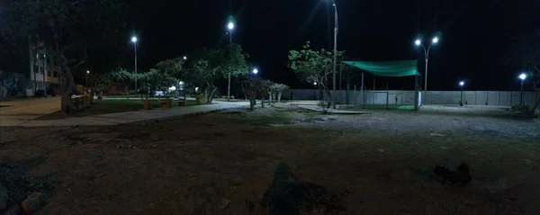 Imagen Panormica Parque Bajo Fria Noche — Fotografia de Stock