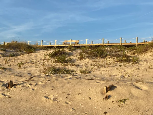 Дошка Прогулянкова Стежка Через Дюни Пляж — стокове фото