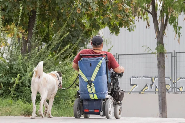 Old Man Wheelchair His Dog Outdoors Read View — Stock Photo, Image