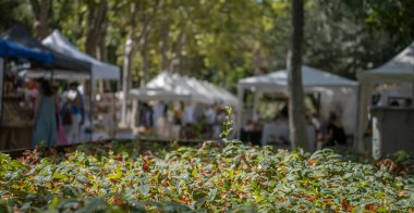 Arka planda pazar festivalinde bulanıklık.