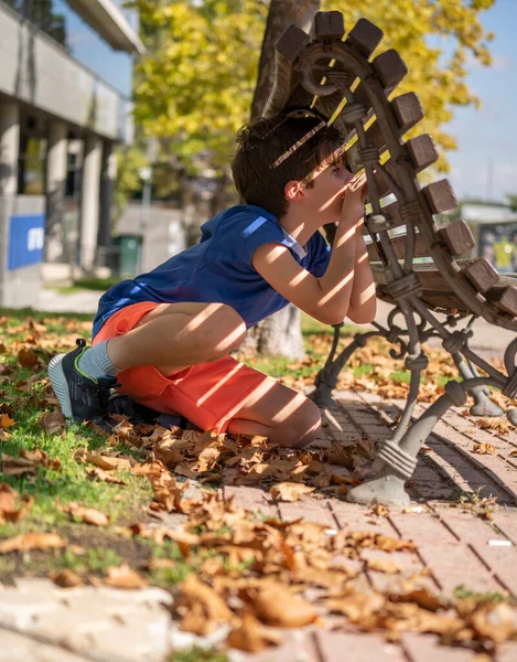 Хлопчик Грає Ховається Шукає Переглядаючи Прогалину Дерев Яній Лавці Парку Стокова Картинка