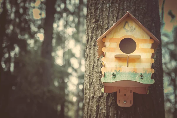 Birdhouse Árvore Caixa Nidificação Alimentador Alimentadores Pássaros — Fotografia de Stock