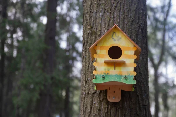 Vogelhaus Baum Nistkasten Futterhäuschen Vogelfutterhäuschen — Stockfoto