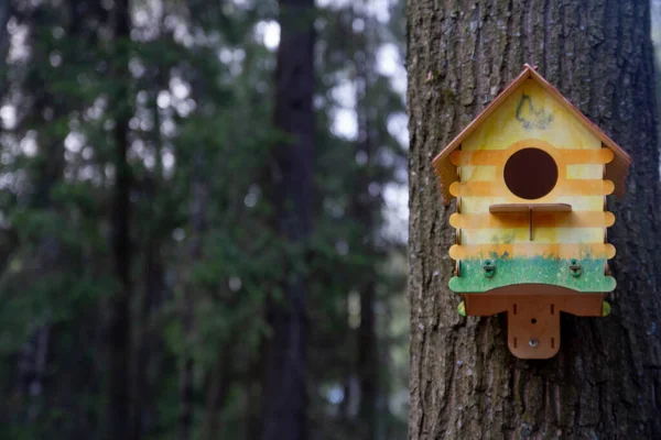 Birdhouse Árvore Caixa Nidificação Alimentador Alimentadores Pássaros — Fotografia de Stock