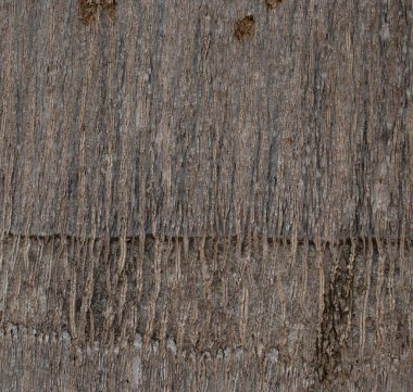 Yeni ahşap doku arkaplanını kapat