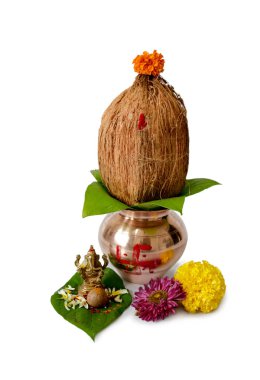 Kalash pujan ganesha pujan Hint festivali akshaya tritiya dekoratif kalash hindistan cevizi ve çiçek desenli yaprak