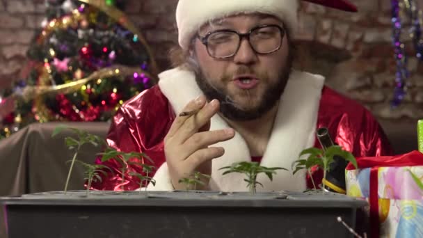 Neşeli Noel Baba esrar çekip tüttürür. Marihuana filizlenir.. — Stok video