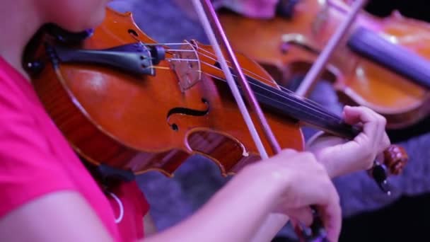 Närbild av en fiol och hand med en båge. Symfoniorkester. Violinister som uppträder. Klassisk musik — Stockvideo