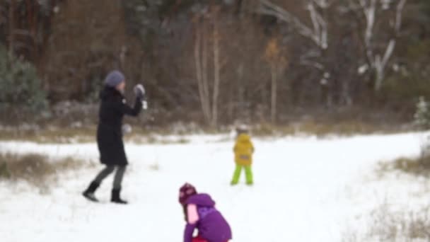 4人家族のぼやけたイメージ:お母さん、お父さん、息子、娘は自然の中で雪玉を遊んでいます. — ストック動画