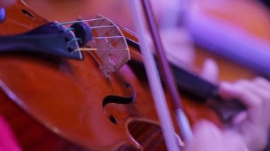 Bir keman ve bir yay ile yakın çekim. Senfoni Orkestrası. Kemancılar gösteri yapıyor. Klasik müzik.