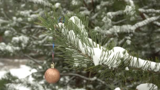 Un jouet d'arbre de Noël est accroché à une branche couverte de neige d'un arbre de Noël.. — Video