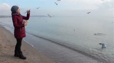Kumsalda martıları besleyen genç bir kadın.