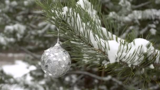 Egy karácsonyfa játék, egy ezüst csillogó labda lóg egy havas karácsonyfa. — Stock videók