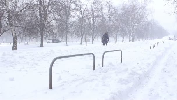 Ukraine. Charkiw 03,01,2018. Die Menschen laufen in einer schneebedeckten Stadt. Schneesturm — Stockvideo