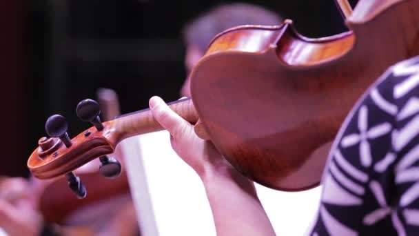 Närbild av en fiol och en hand på instrumenthalsen Symfoniorkester.Violinisternas framförande. — Stockvideo