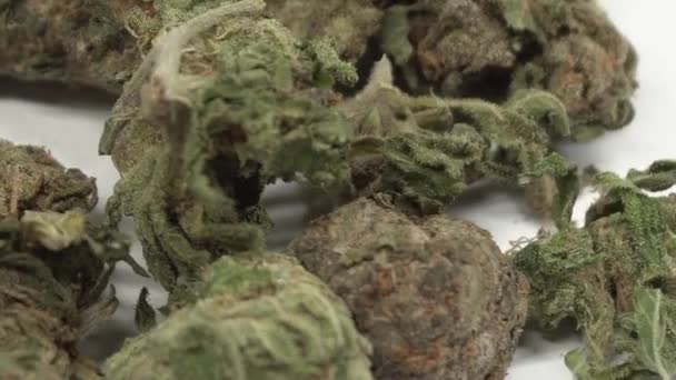 Marihuana trichomen macro .Demonstratie van droge marihuana bloeiwijzen op een witte achtergrond. — Stockvideo