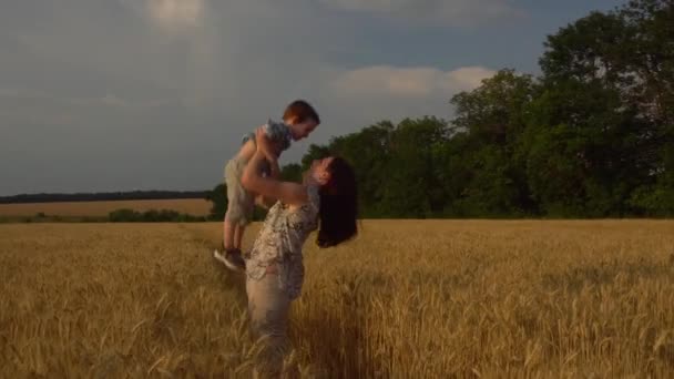 Une jeune mère jette son fils de trois ans. Ils se tiennent dans un champ parmi le blé mûr. — Video