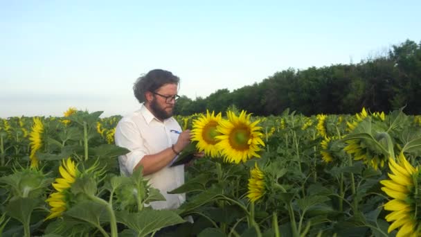 Jeune homme dans un champ avec des tournesols fait notes.Agriculteur debout dans le champ de tournesols. — Video