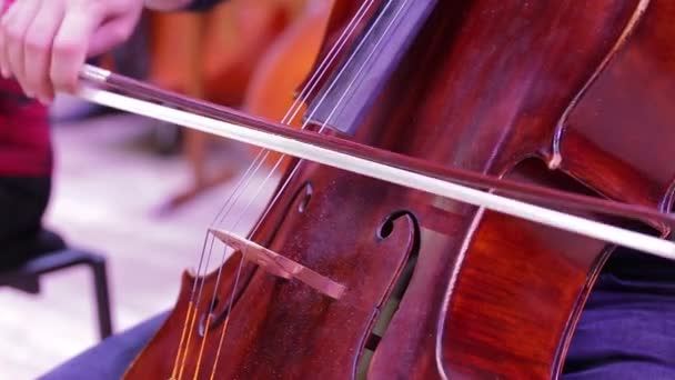 Gros plan du mouvement de la proue sur les cordes Orchestre symphonique.Le musicien joue du violoncelle. — Video