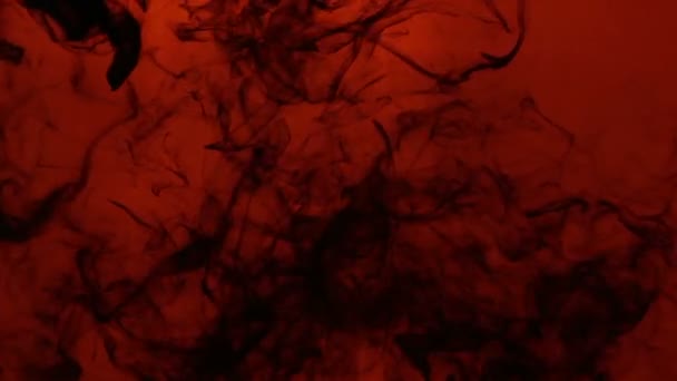 Abstract zwarte inkt in water op een rode achtergrond — Stockvideo