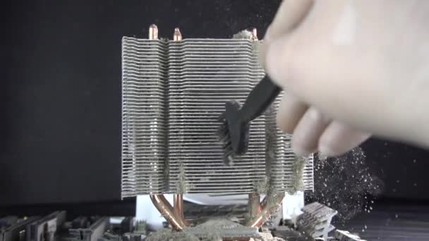 Porszennyezés. A processzor hűtőjének tisztítása a porból. Antisztatikus kefe. — Stock videók