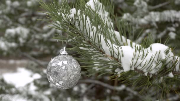 Ein Weihnachtsbaumspielzeug hängt an einem schneebedeckten Ast eines Weihnachtsbaum.Winter verschneiter Wald.4k — Stockvideo