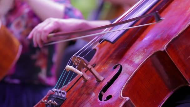 A zenész játszik a cello.Close-up mozgás az íj a húrokat.Szimfonikus zenekar. — Stock videók