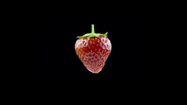 Délicieuse fraise tourne sur un fond noir — Video