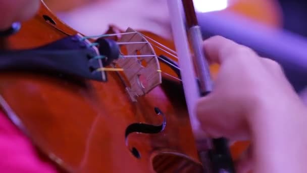 Fechar de um violino e mão com um arco. Orquestra Sinfônica. Violinistas a actuar. Música clássica — Vídeo de Stock