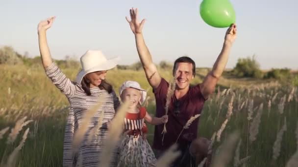 Young family with a little daughter for a walk in the field with feather grass.Slow motion. — Vídeo de Stock