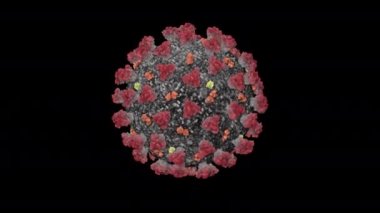 Coronavirus 'un (COVID-19) (SARS-CoV-2) kavramsal-V1 3D animasyonu mikroskobik ve ayrıntılı olarak görülür..