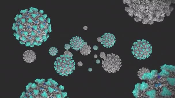 Concetto Animation Coronavirus Covid Conosciuto Come Sars Cov Visto Microscopicamente — Video Stock