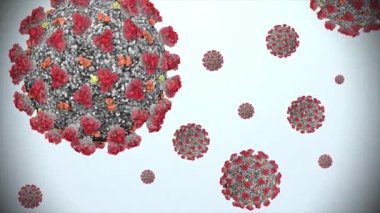 Coronavirus 'un (COVID-19) 3-V13-D animasyonu (SARS-CoV-2) mikroskobik ve ayrıntılı olarak görülür..
