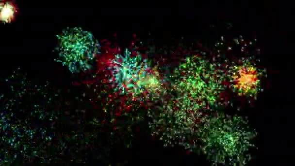 Gece Gökyüzünde Rastgele Patlayan Gerçekçi Havai Fişeklerin Görünümü Animasyon Renk — Stok video