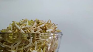 Kavram 1-K1, sol tarafında beyaz arkaplan bulunan mung fasulyesi filizleriyle dolu bir Spinning kasesi.