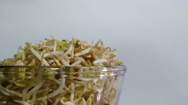Concept Spinning Bowl Full Mung Bean Sprout White Background Left — Stockvideo