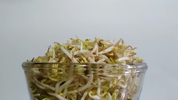 Concept Spinning Bowl Full Mung Bean Sprout White Background Center — Vídeo de stock