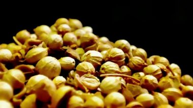 Konsept 34-K1 Corianders yığın makro video.