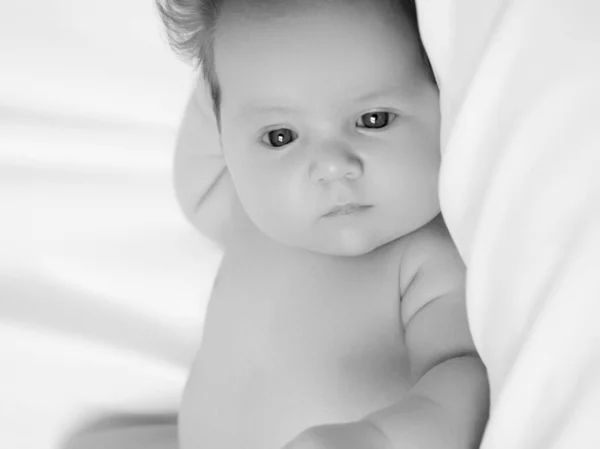 Bebê recém-nascido em um envoltório em cobertor branco. Belo retrato da menina criança 7 dias, uma semana de idade. Bebê deitado de costas no fundo branco — Fotografia de Stock