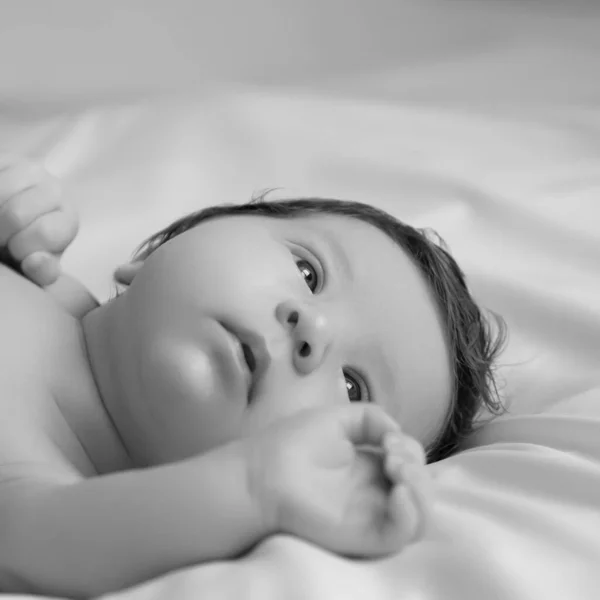 Bebê recém-nascido em um envoltório em cobertor branco. Belo retrato da menina criança 7 dias, uma semana de idade. Bebê deitado de costas no fundo branco — Fotografia de Stock