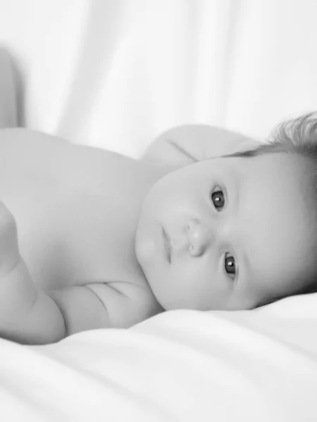 Nyfödd bebis i ett omslag på vit filt. Vackert porträtt av liten flicka 7 dagar, en vecka gammal. Baby liggande på rygg på vit bakgrund — Stockfoto