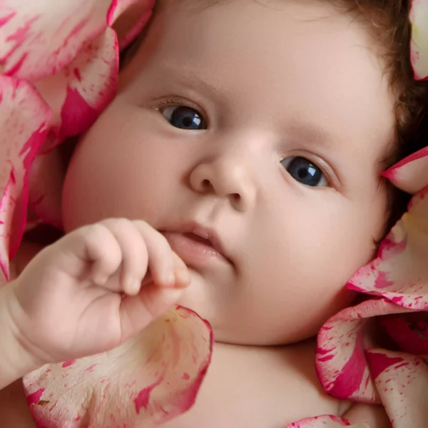 Potret seorang bayi perempuan kecil yang cantik dengan bunga merah muda. Anak yang sehat, konsep rumah sakit dan ibu yang bahagia. Bayi kesayangan. Konsep kesehatan dan medis. Happy kehamilan dan melahirkan — Stok Foto