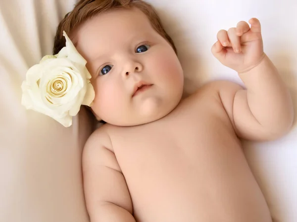 Portret pięknej dziewczynki z białymi kwiatami. Zdrowe dziecko, koncepcja szpitala i szczęśliwe macierzyństwo. Niemowlę. Zdrowa i medyczna koncepcja. Szczęśliwej ciąży i porodu — Zdjęcie stockowe