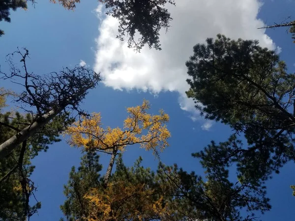 Naturaleza Aire Aire —  Fotos de Stock