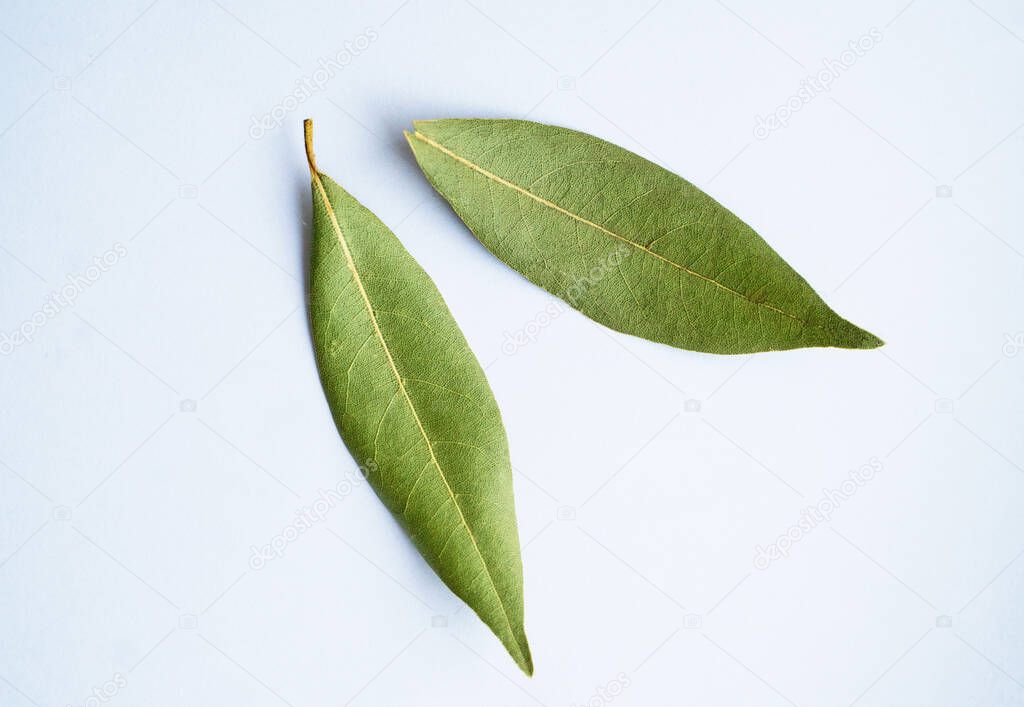 Two dried bay leaves on a white background macro photography